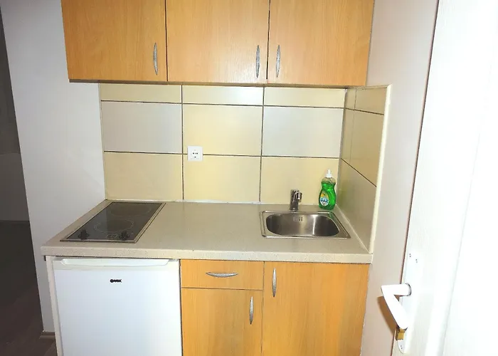 Apartman Jenic Soko Banja