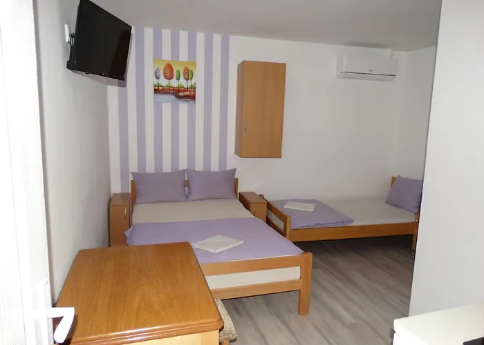 Jenic * 소코 반자