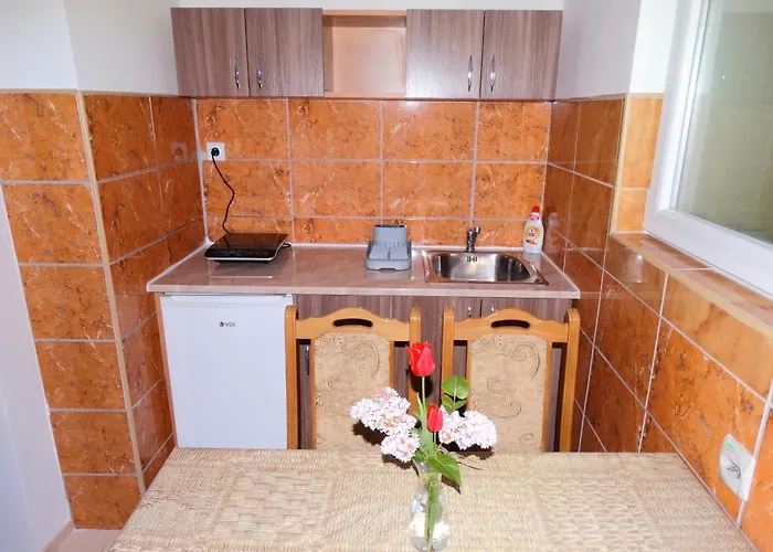 Apartman Jenic *